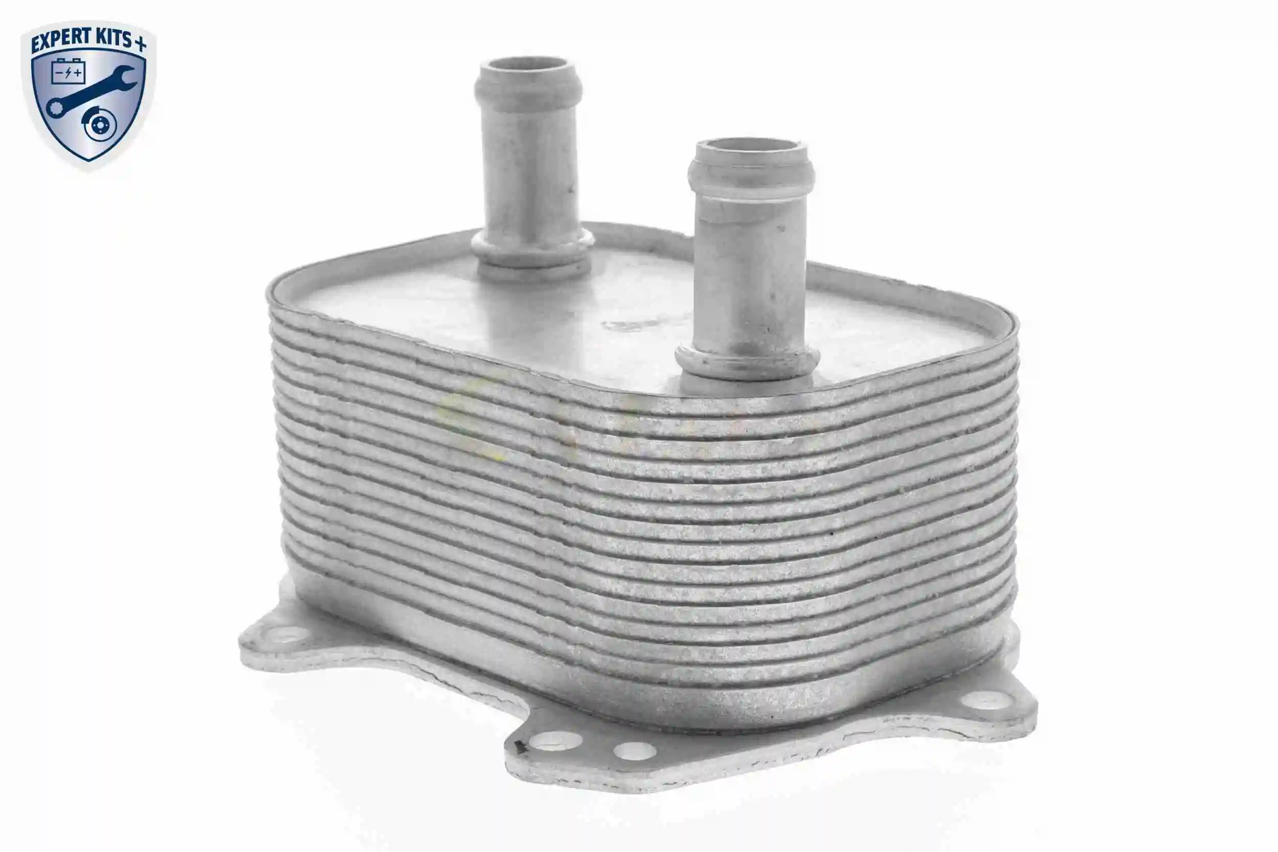 Oil Cooler, engine oil EXPERT KITS + V15-60-6091