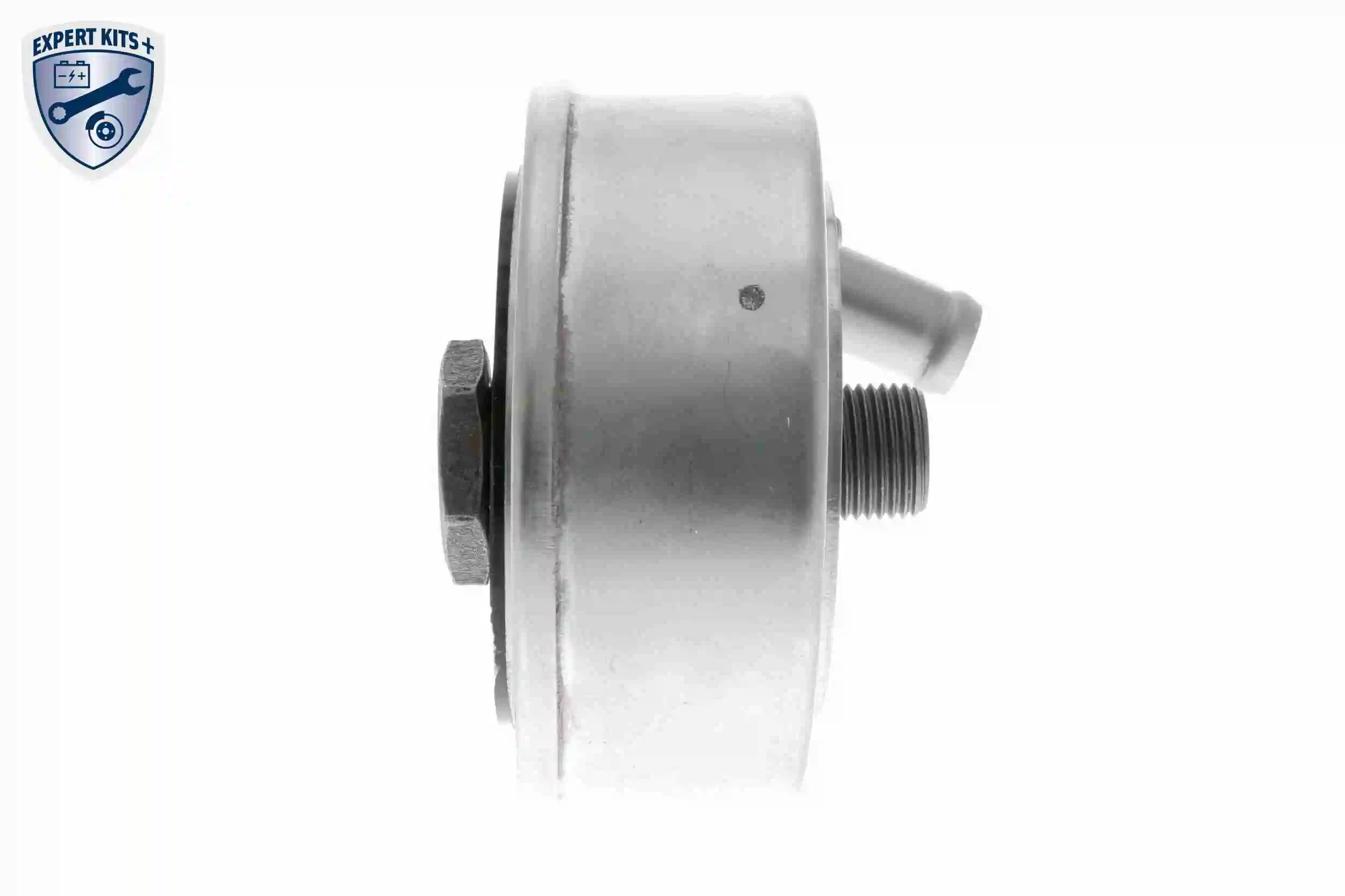 Oil Cooler, automatic transmission EXPERT KITS + V22-60-0042