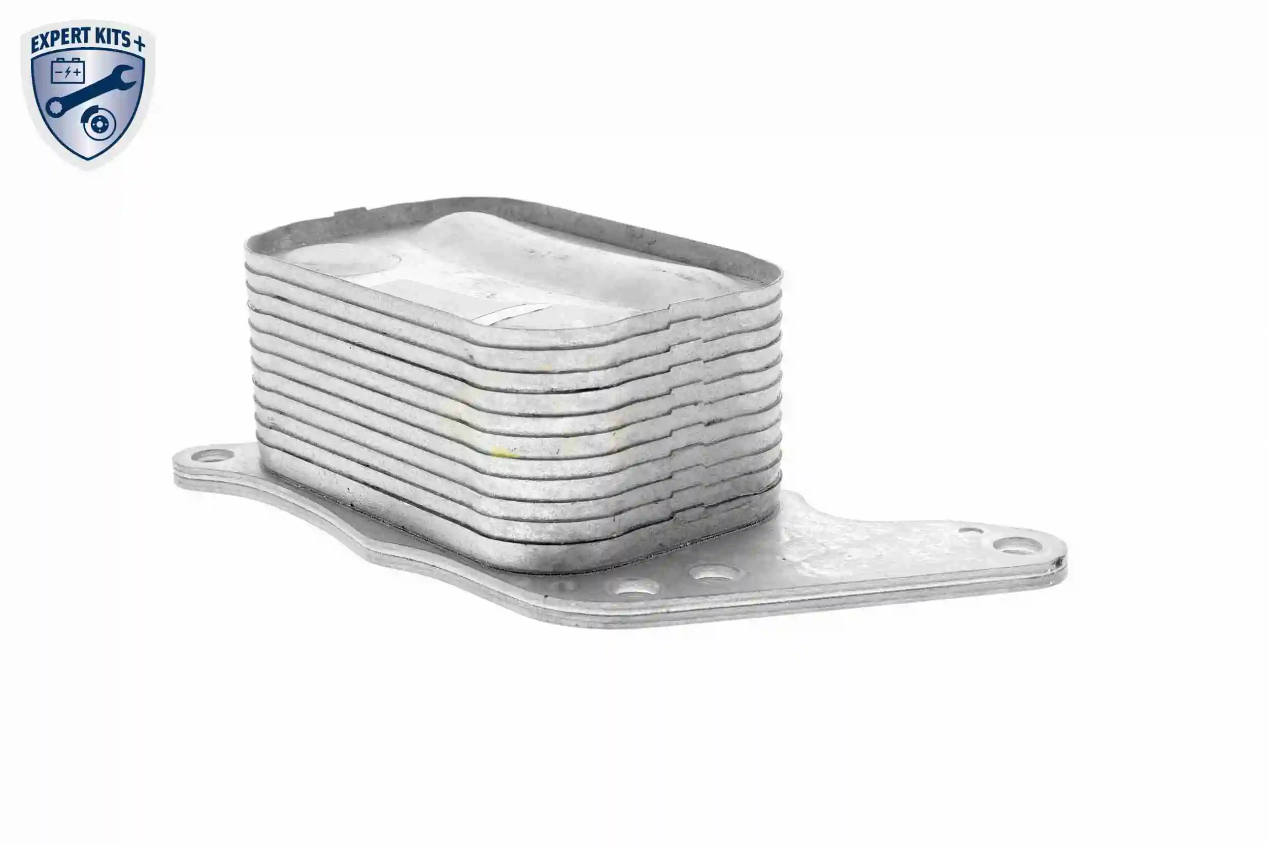 Oil Cooler, engine oil EXPERT KITS + V42-60-0008