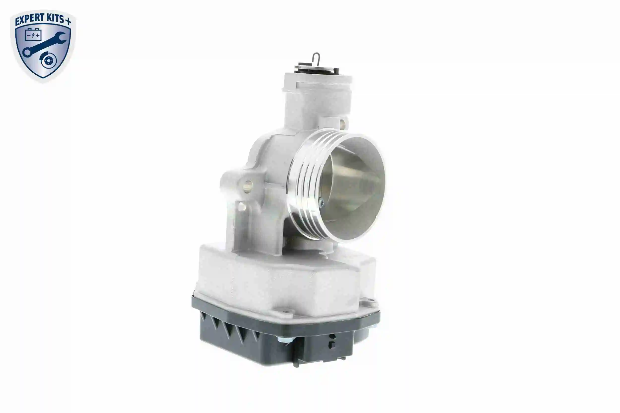 Throttle Body EXPERT KITS + V42-81-0001