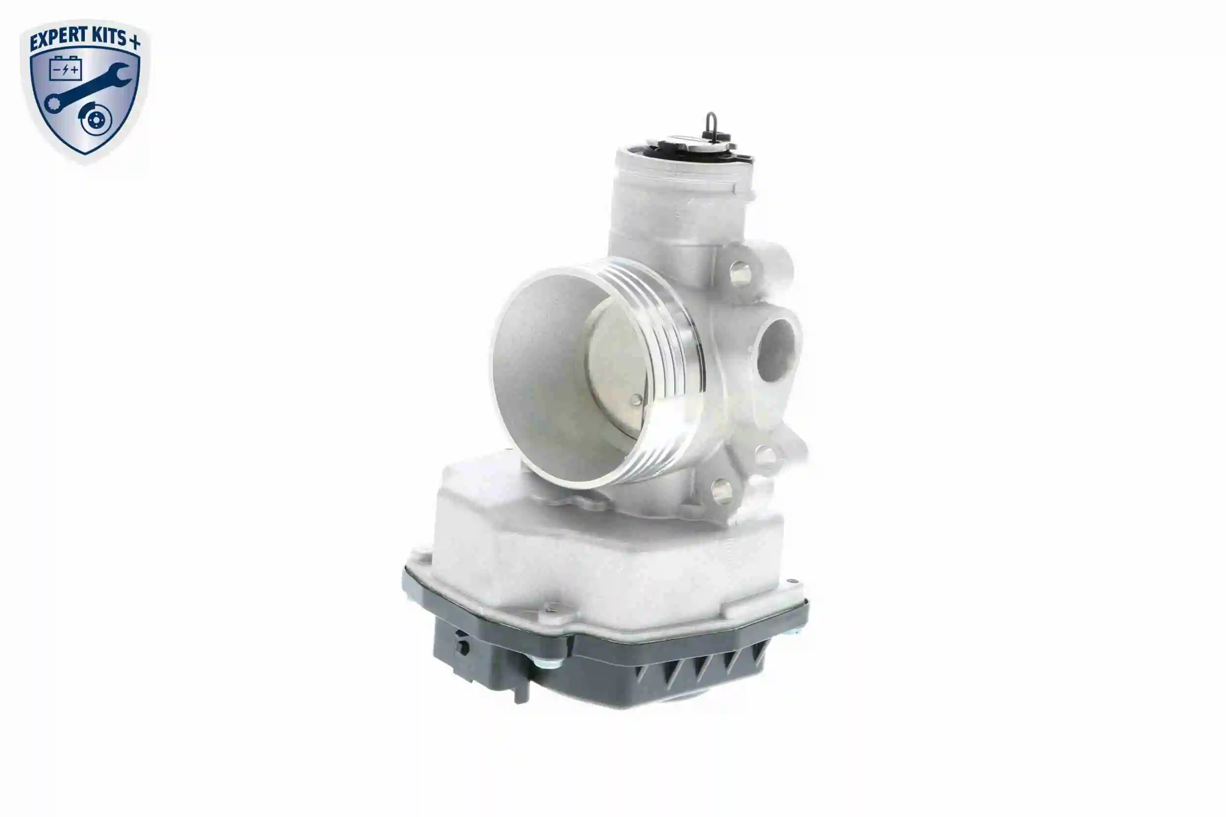 Throttle Body EXPERT KITS + V42-81-0001