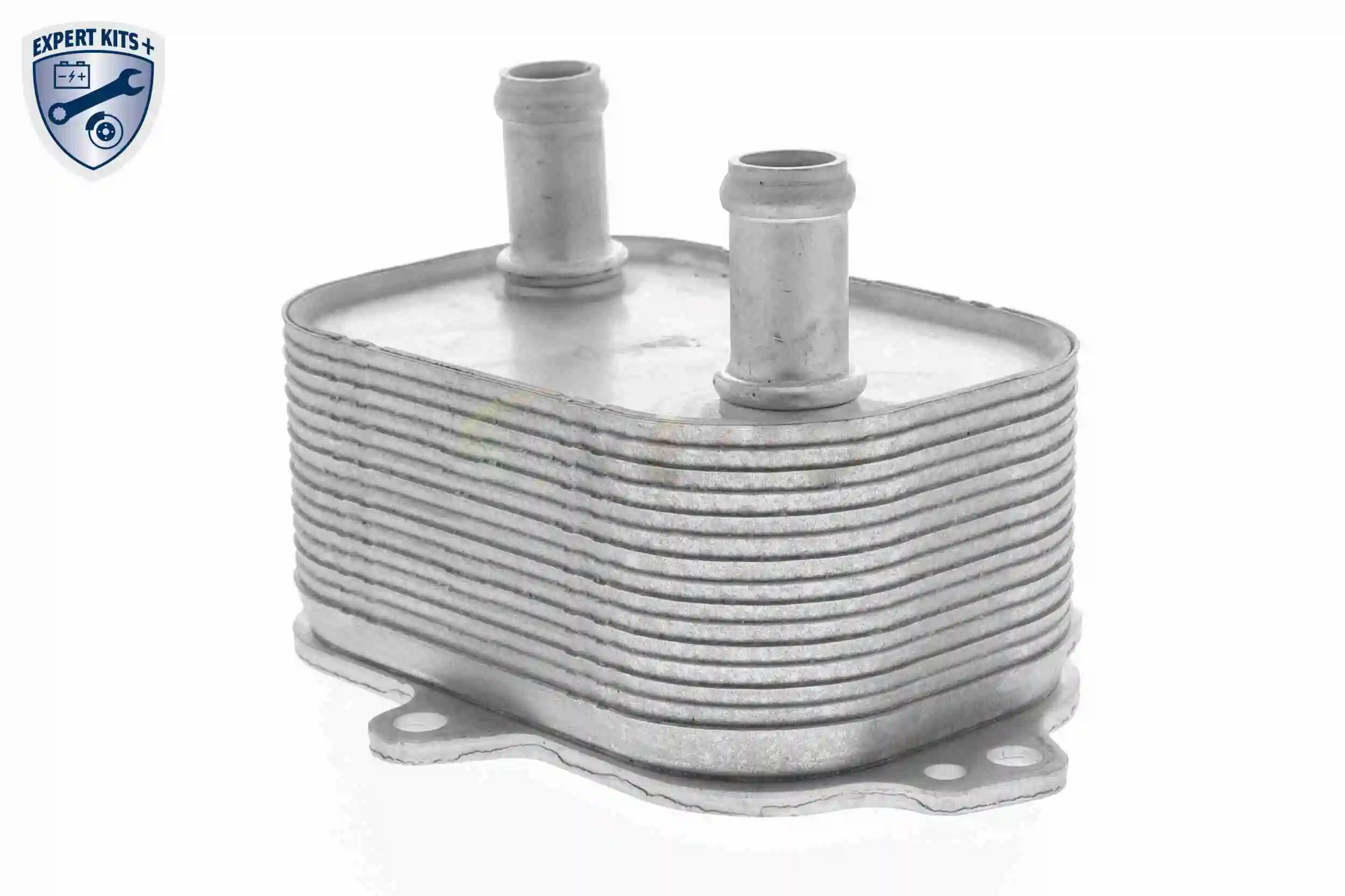 Oil Cooler, engine oil EXPERT KITS + V15-60-6091