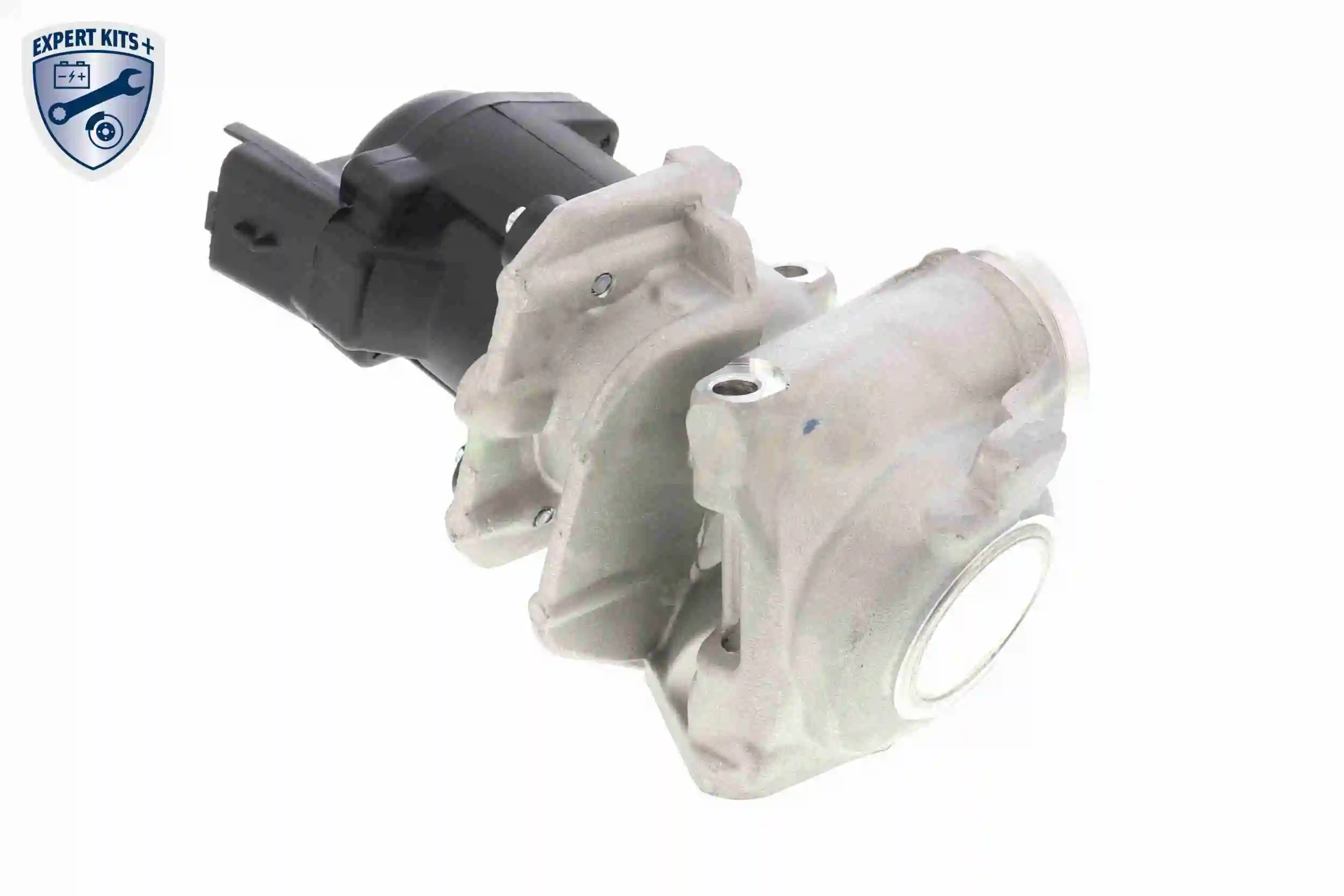 EGR Valve EXPERT KITS + V42-63-0002