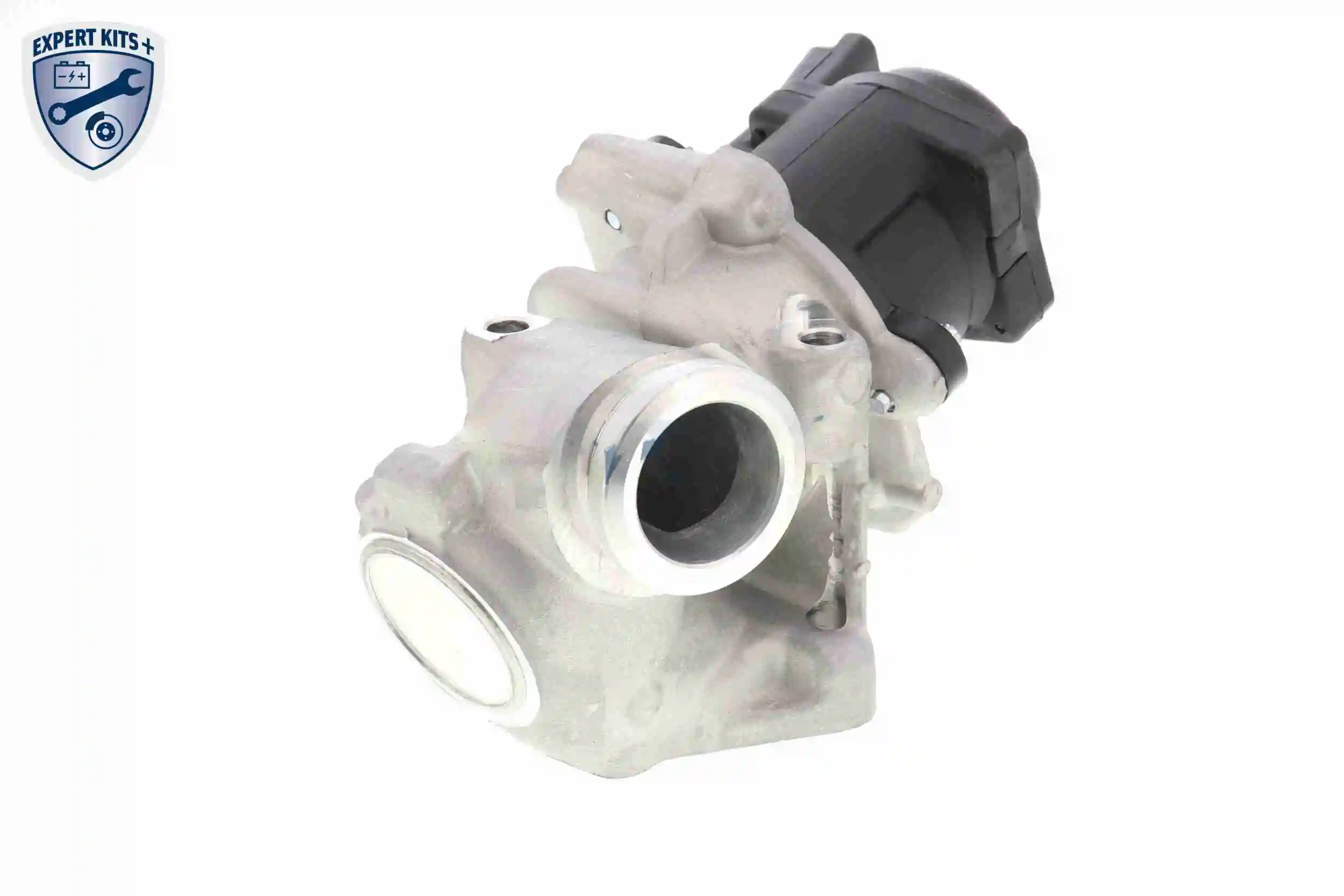 EGR Valve EXPERT KITS + V42-63-0002