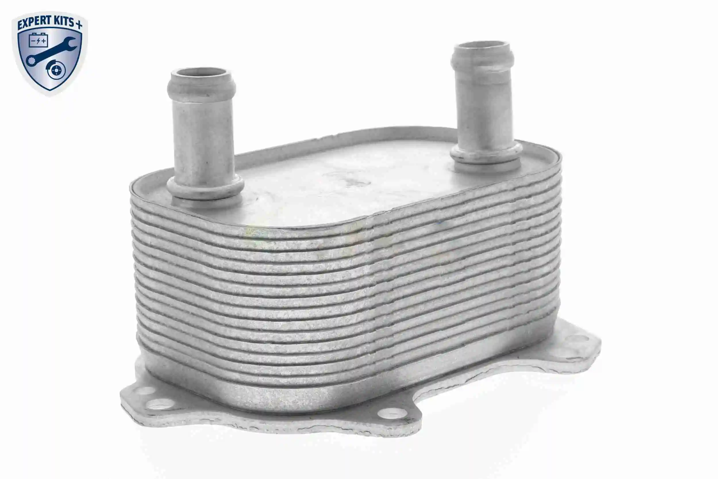 Oil Cooler, engine oil EXPERT KITS + V15-60-6091