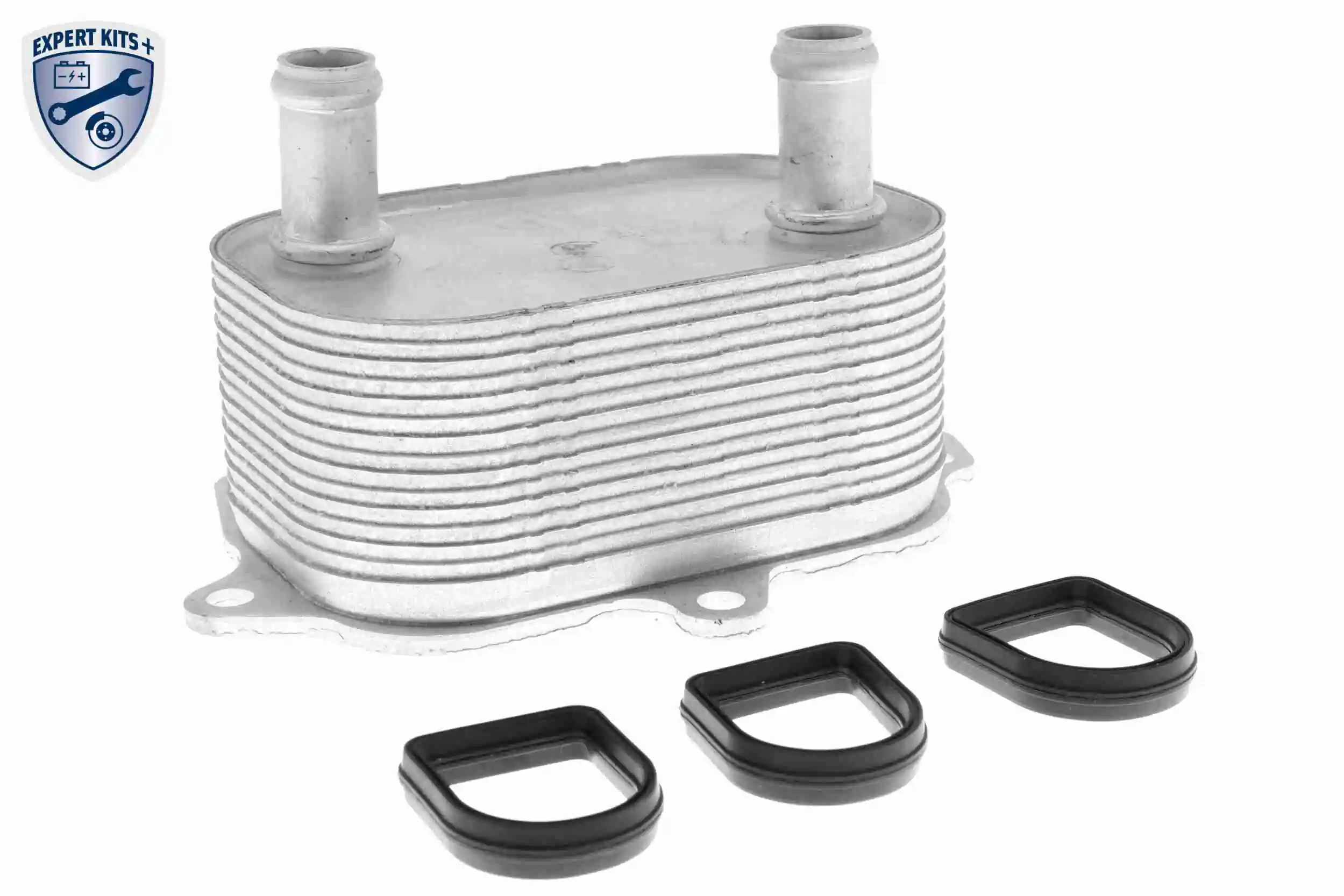 Oil Cooler, engine oil EXPERT KITS + V15-60-6091