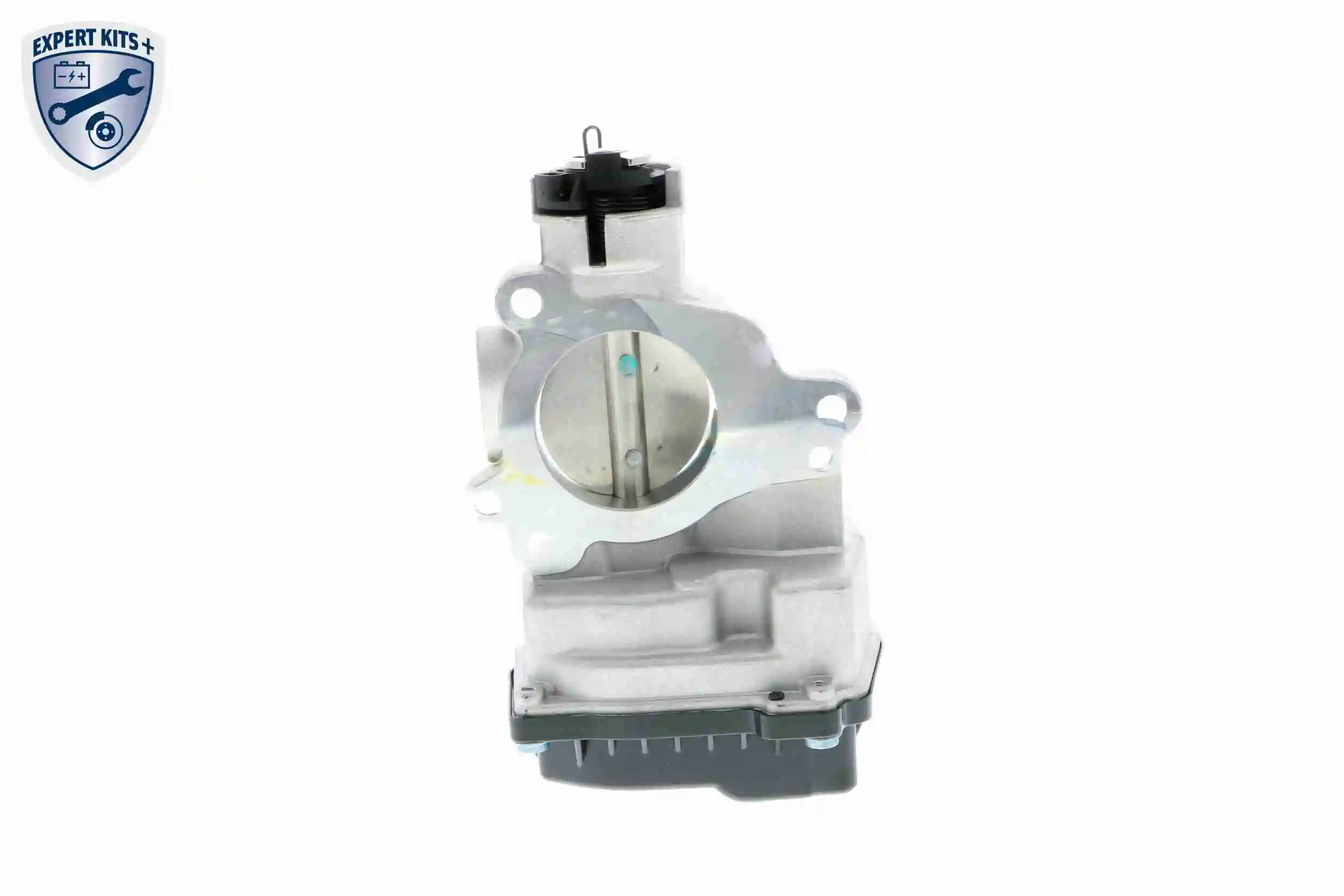 Throttle Body EXPERT KITS + V42-81-0001