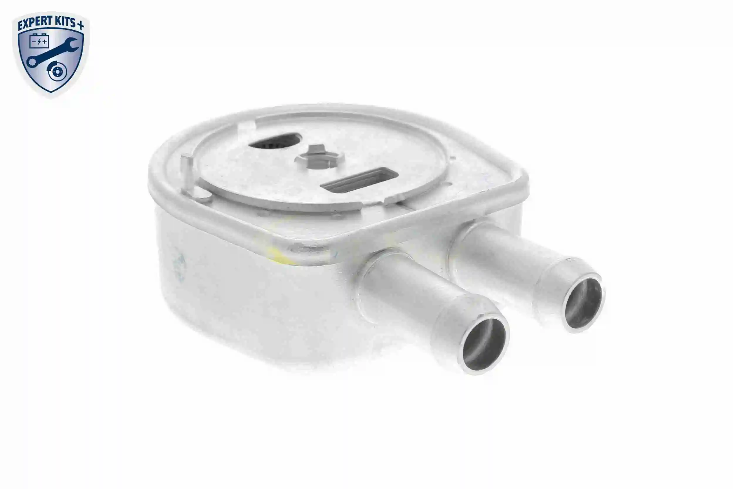 Oil Cooler, engine oil EXPERT KITS + V25-60-0047