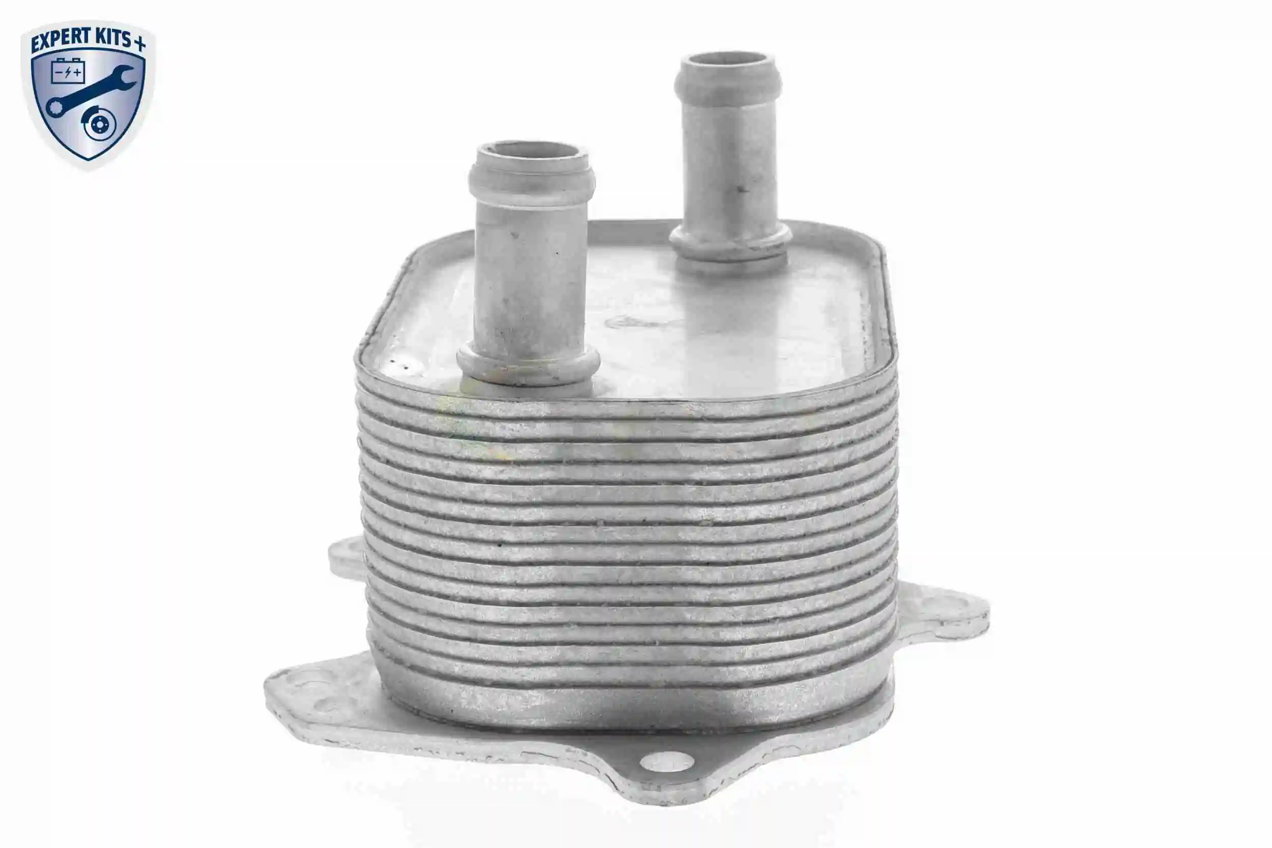 Oil Cooler, engine oil EXPERT KITS + V15-60-6091