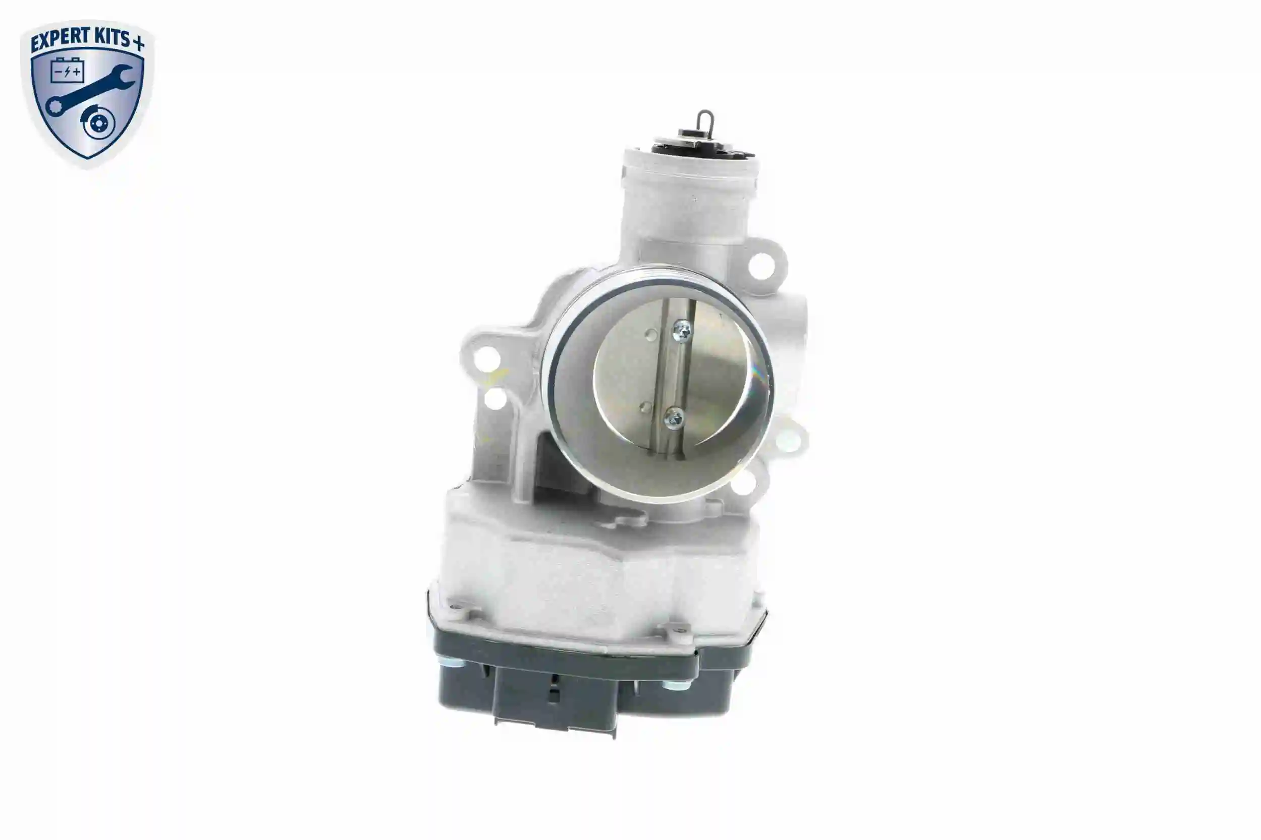 Throttle Body EXPERT KITS + V42-81-0001
