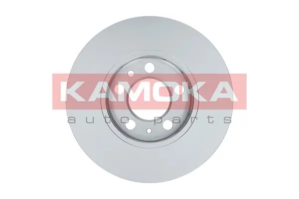 Brake Disc 1031854