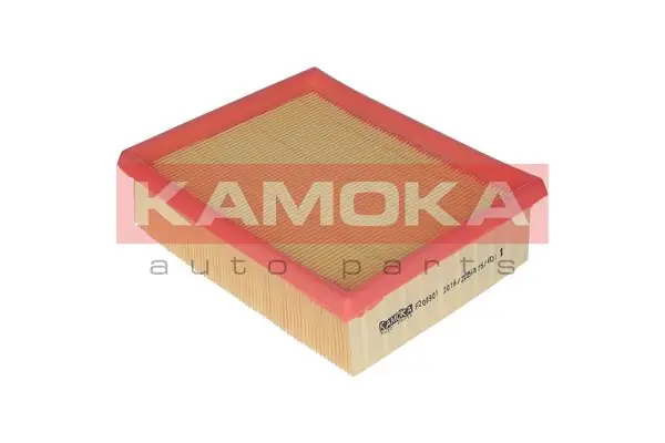 Air Filter F208901