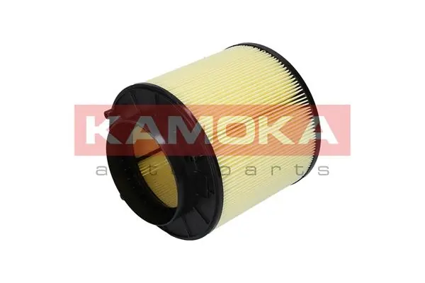 Air Filter F215601