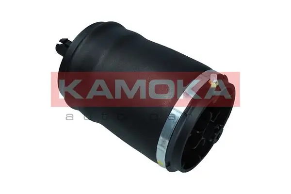 Air Spring, suspension 2079037