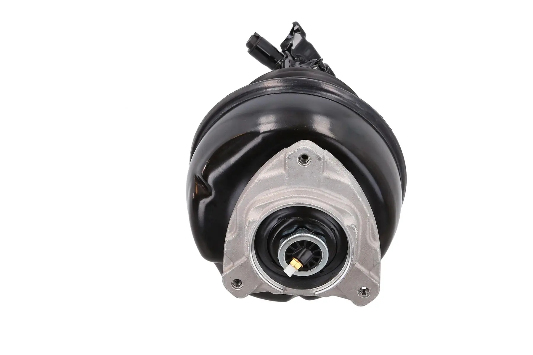 Air Suspension Strut 2070043