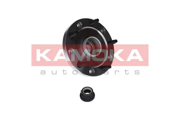 Wheel Bearing Kit 5500049