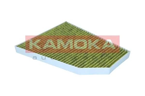 Filter, cabin air 6080174