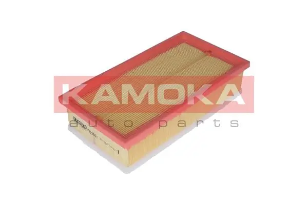 Air Filter F223601