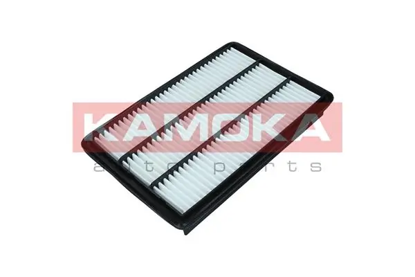 Air Filter F249801