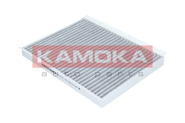 Filter, cabin air F506001