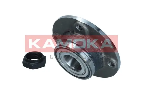 Wheel Bearing Kit 5500042