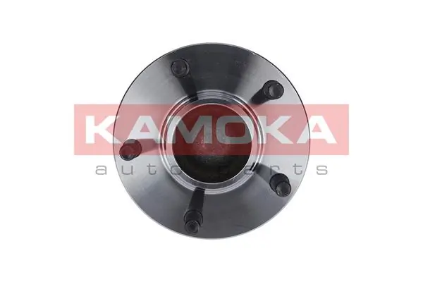 Wheel Bearing Kit 5500098