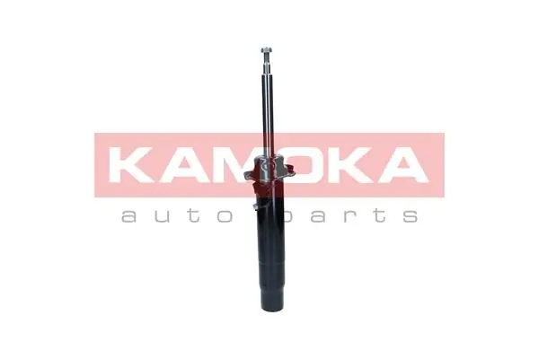 Shock Absorber 2000452