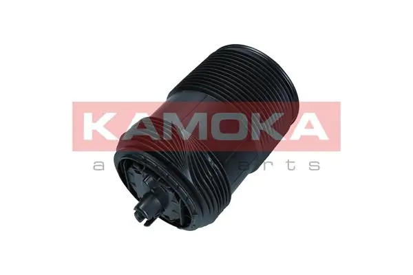 Air Spring, suspension 2079015