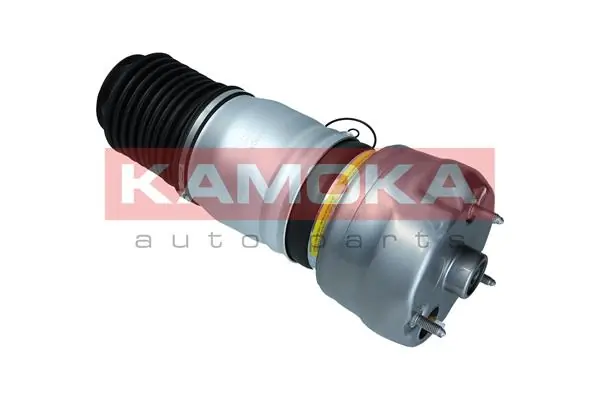 Air Spring, suspension 2079064