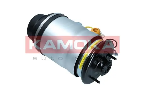 Air Spring, suspension 2079033