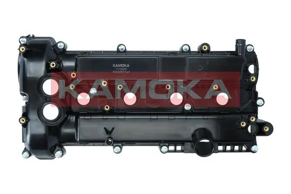 Cylinder Head Cover 7170026