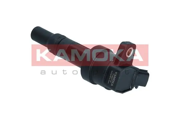 Ignition Coil 7120156