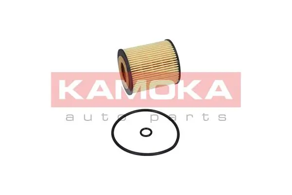 Oil Filter F110201