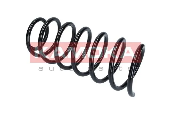 Suspension Spring 2110257