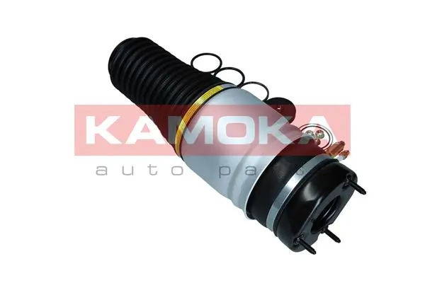 Air Spring, suspension 2079026