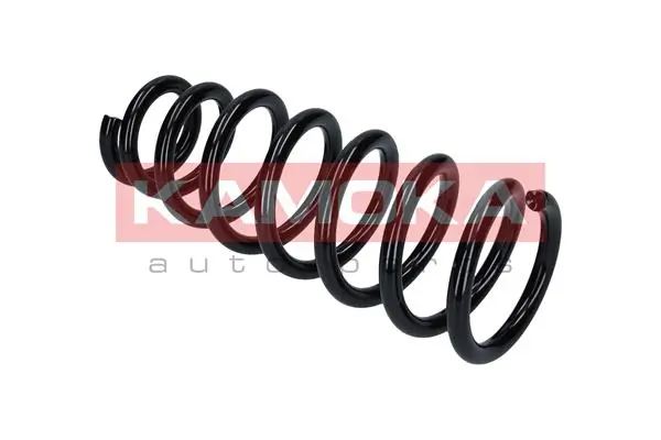 Suspension Spring 2120227