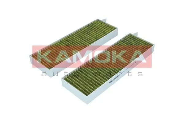 Filter, cabin air 6080048