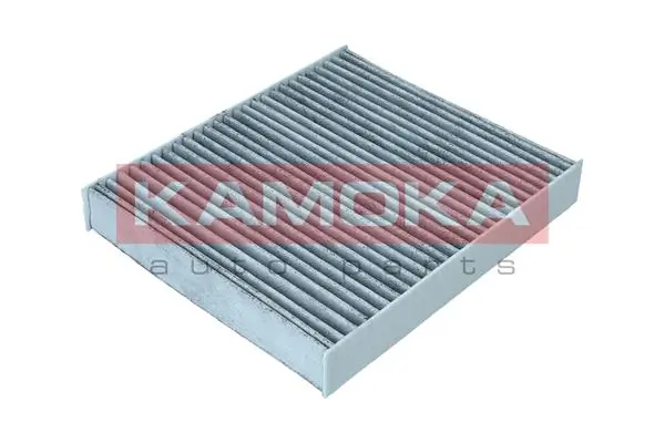 Filter, cabin air F511301