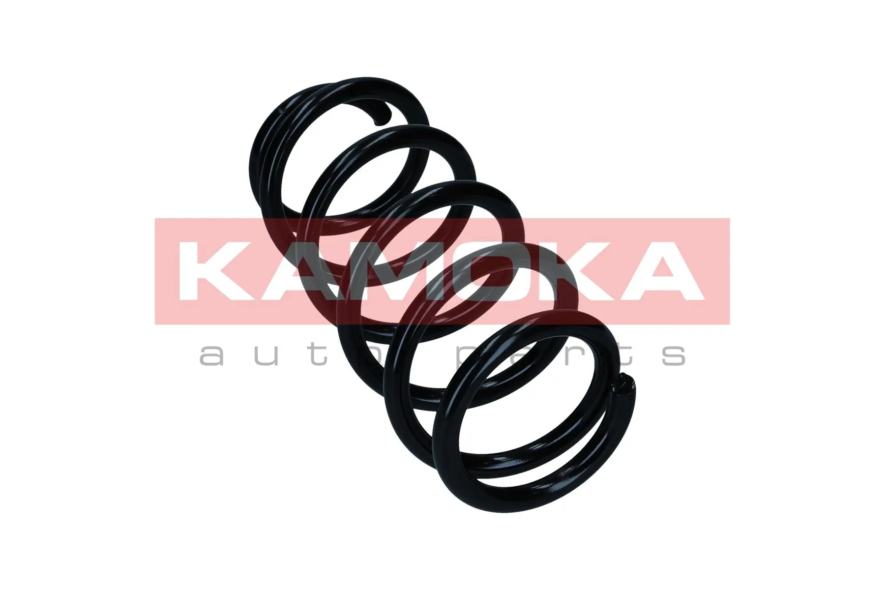 Suspension Spring 2120470