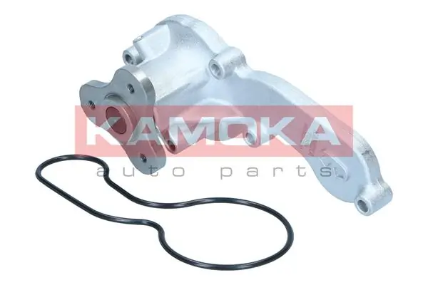 Water Pump, engine cooling T0306
