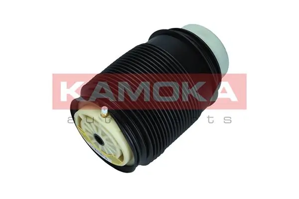 Air Spring, suspension 2079043