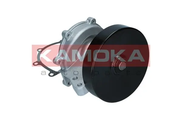 Water Pump, engine cooling T0205