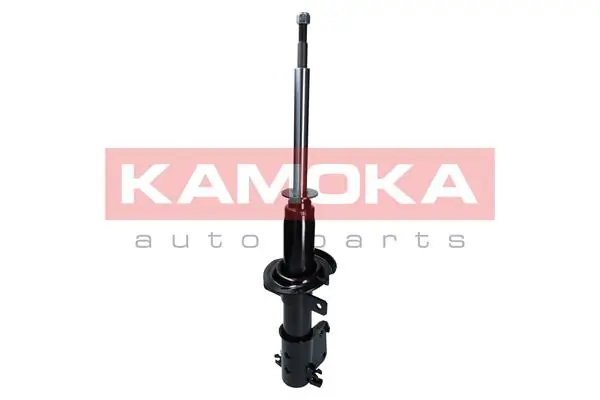 Shock Absorber 2000485