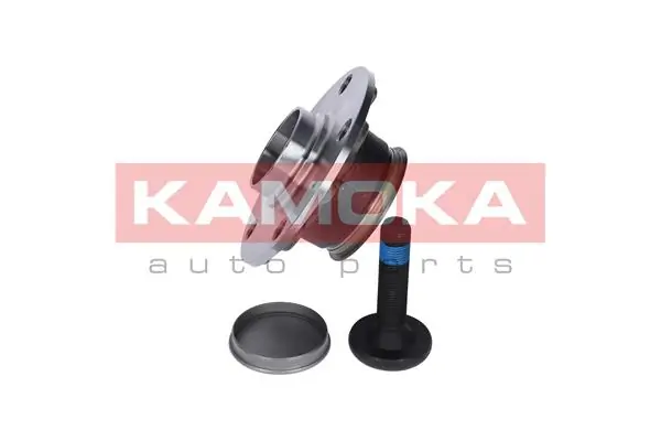 Wheel Bearing Kit 5500119