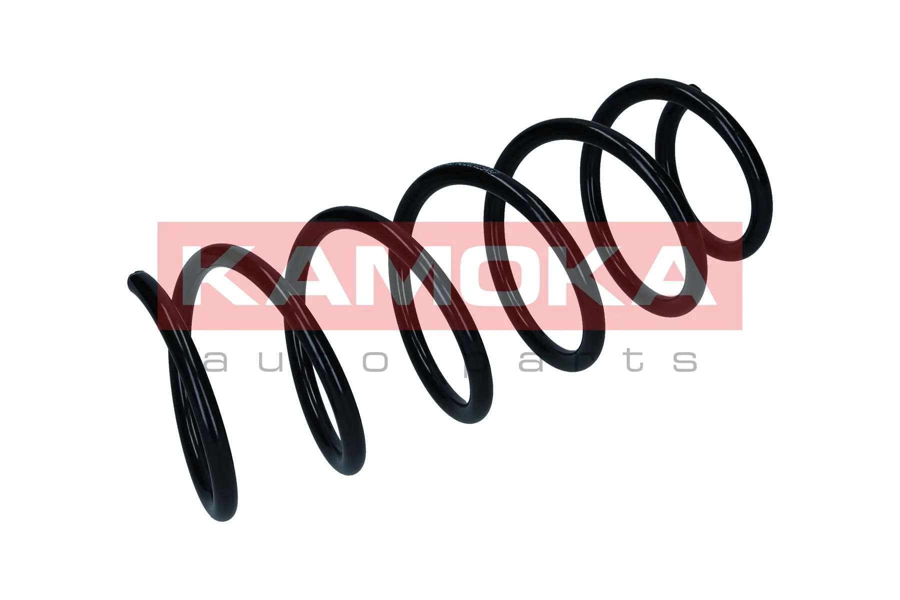 Suspension Spring 2110299