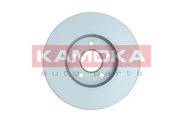 Brake Disc 103343