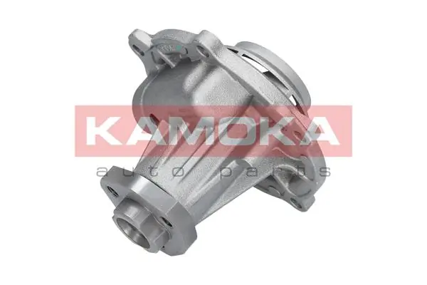 Water Pump, engine cooling T0038