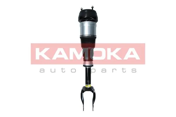 Air Suspension Strut 2070002