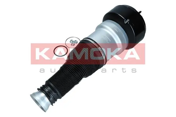 Air Spring, suspension 2079038