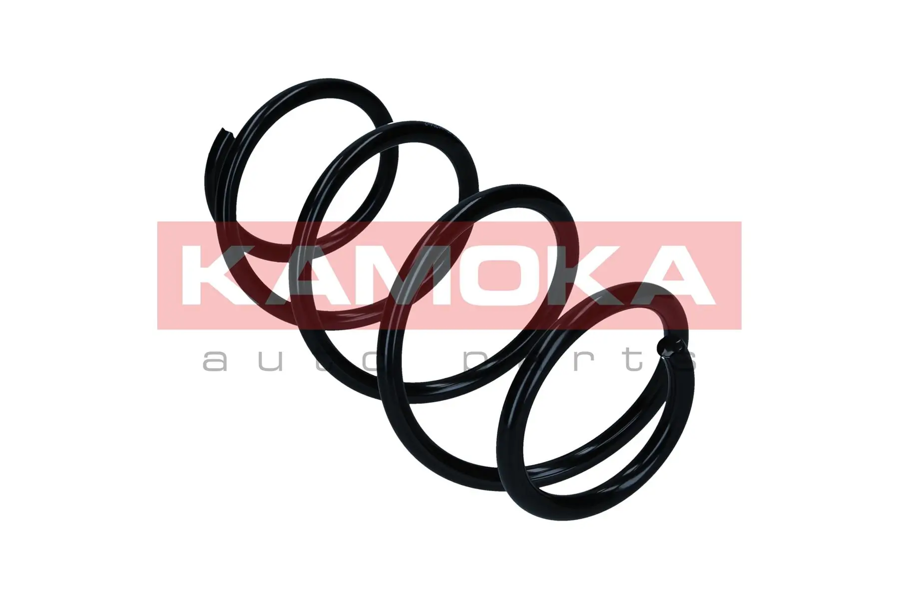 Suspension Spring 2110593